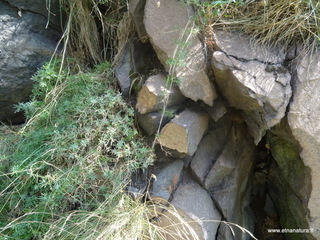 nte Rinatu-15-09-2019 11-04-17